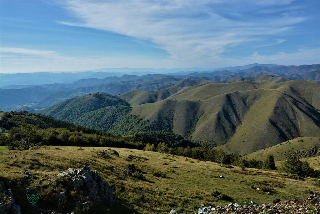 Shala e Bajgorës